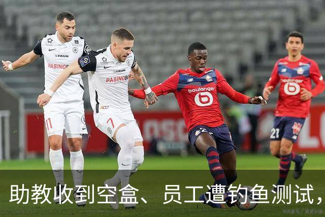 助教收到空盒、员工遭钓鱼测试，尼克斯发声明回应