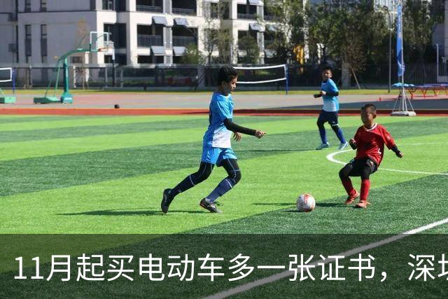 11月起买电动车多一张证书，深圳600万辆存量车不用换